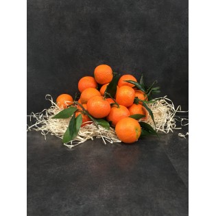 Clementines corses igp 500g