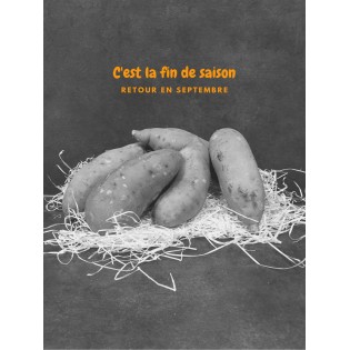 Patate douce france 1kg